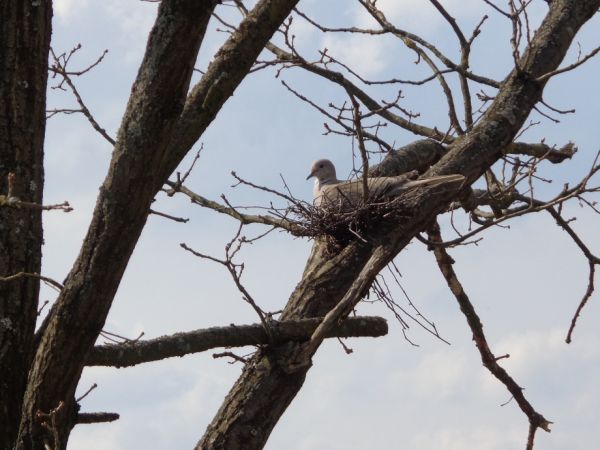 czuć już wiosnę :)