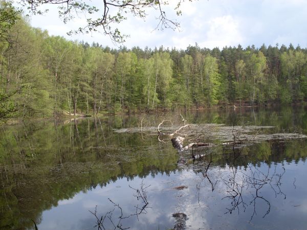 Jezioro Małe-Leśne