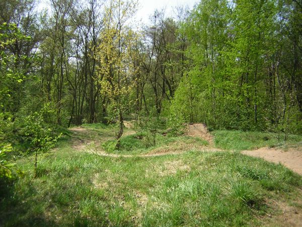 zdjecie Sulechów