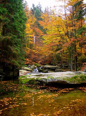 Potok górski w Szklarskiej Porębie