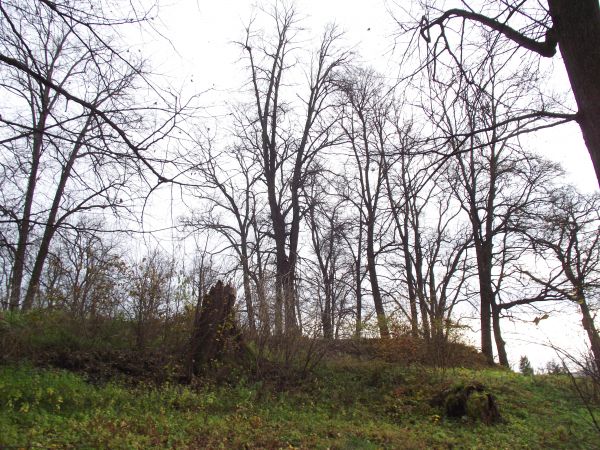 wzgórek, usypany, o dużym polu elipsy,  w parku dworskim - tam była pałacowa altana / pergola. Dowiadujemy się nieco o stylu życia tutejszej szlachty - stołowa