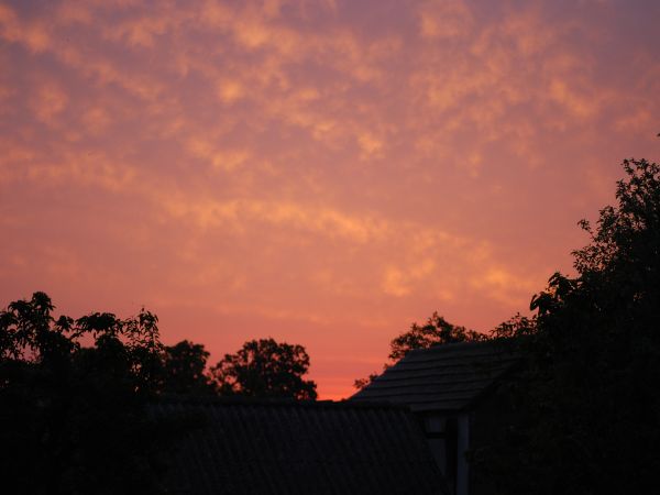 Niebo przed wschodem słońca