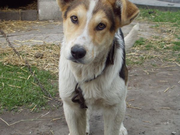 Bo ugryzę