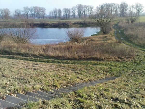 Rozlewiska Wisły tzw. łacha