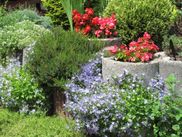 zdjecie Pietrzykowice