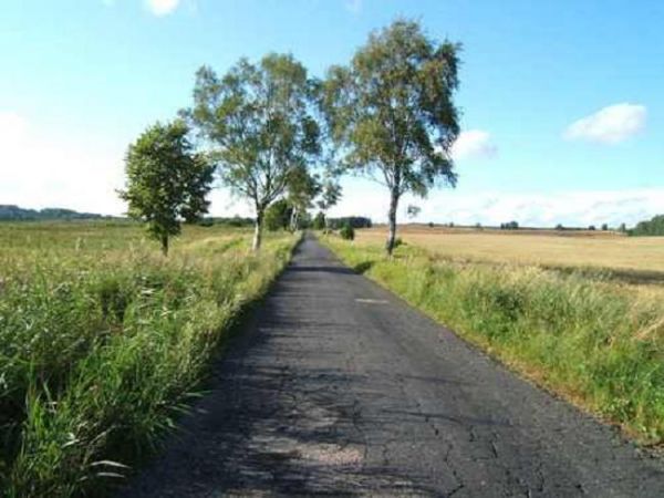 Droga za Dębami w kierunku Ors