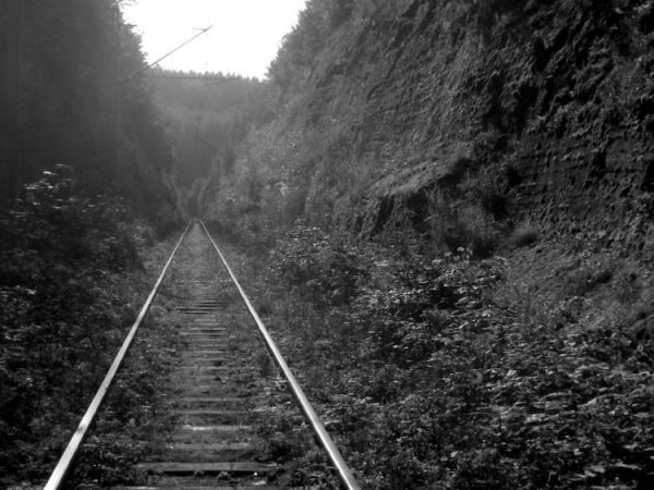 Więcej moich zdjęć na http://picasaweb.google.com/janek.fedorowicz