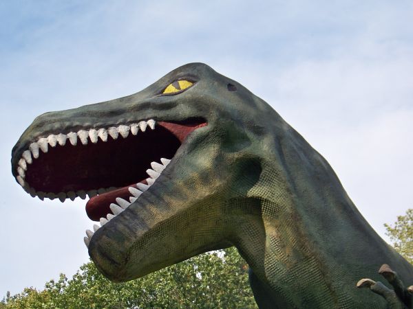 W ZOO. Dolina Dinozaurów.