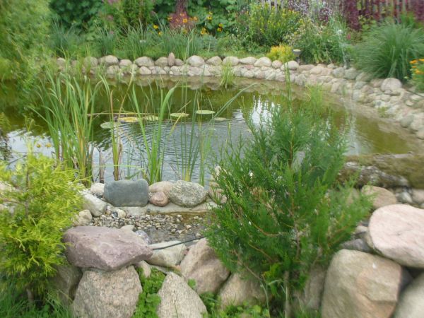 zdjecie Krzydłowiczki