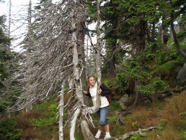 Zwiedzanie kraju - Karpacz