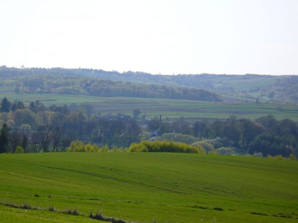 W tle Gorzelnia Łaziska.