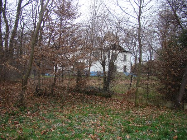 pałac, XIXw. - na rzucie litery L, przy fasadzie wieża i loggia, aleja grabowa i starodrzew; modrzewie, klony i brzozy.