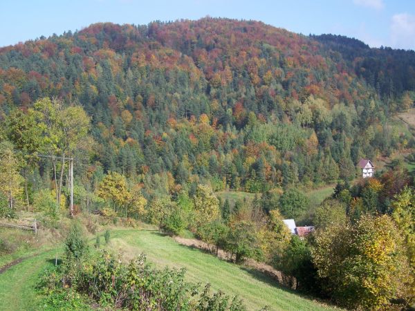 Harbutowice. Kijowa Góra.