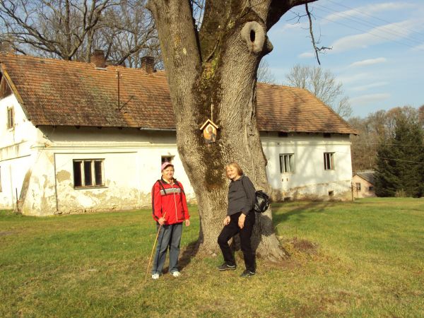 przed / obok / przy: kapliczka szafkowa - na dostojnym przedstawicielu parku dworskiego, na skraju dziedzińca od strony murowanej oficyny, parterowa, częściowo