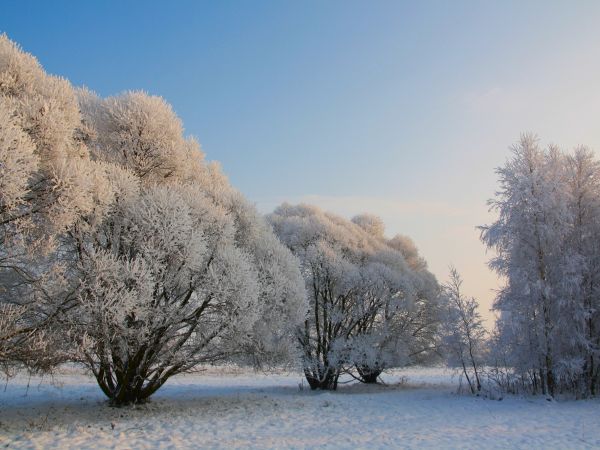 zdjecie Tyniewicze Duże