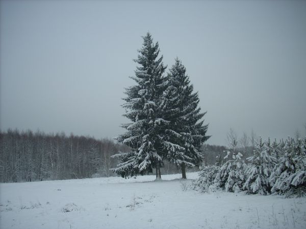 zdjecie Piłatowszczyzna