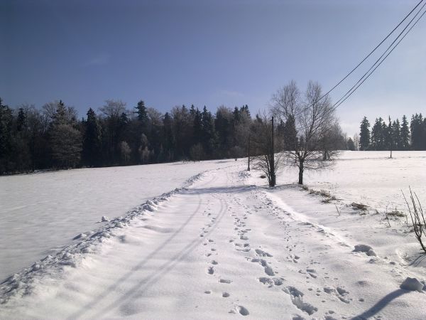 Różanka - żółtym szlakiem na Bochniak (713 m n.p.m.)