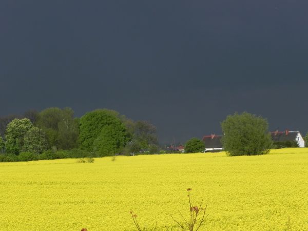 Okolice Swibna przed burza maj 2014