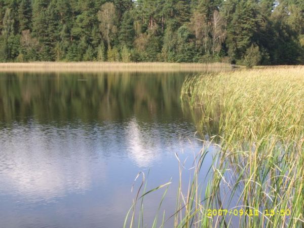 Wielki Smólsk jedno z jezior,których wokół Werska nie brakuje.