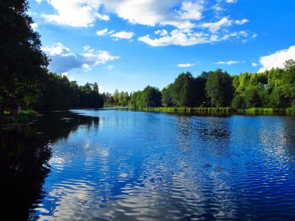 Rozlewisko rzeki Wdy w Wojtalu przy zaporze