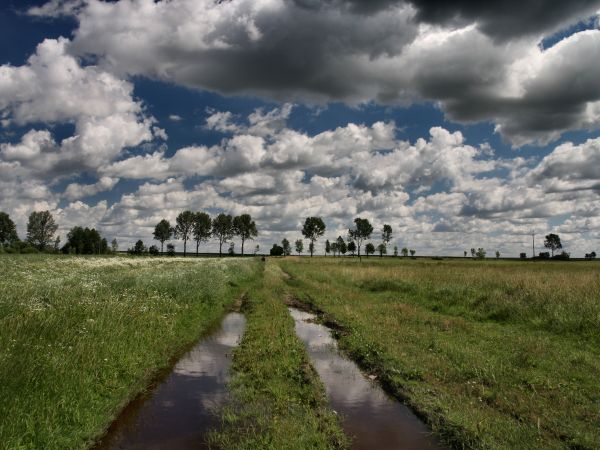 zdjecie Tyniewicze Duże