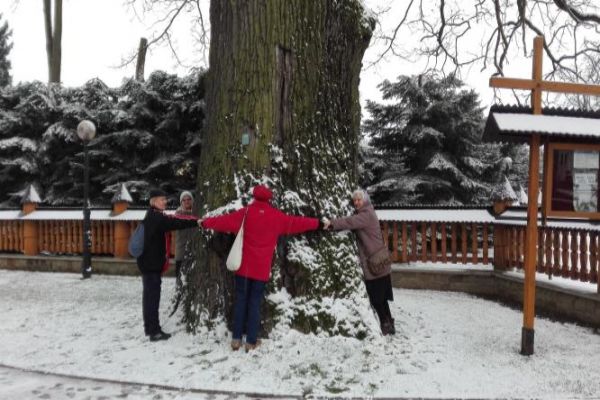 przy kościele dąb - potężny, pomnik przyrody - oznaczony.