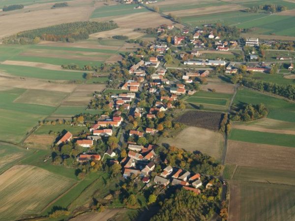 Czarnolas z lotu ptaka