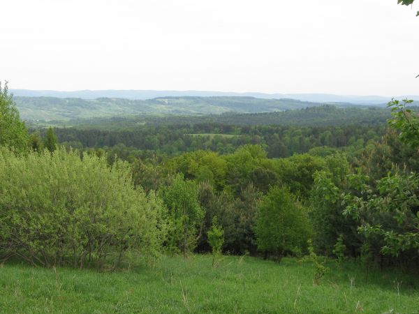 kiedyś były tu pola uprawne na wioskowych przysiółkach, ale historia się potoczyła no i sukcesja - czyli branie we władanie przez naturę tych połaci... no a ści