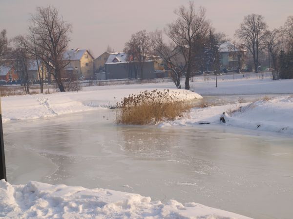zdjecie Pruszcz Gdański