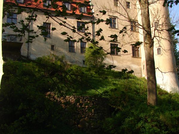 Zamek Wedlow w Tucznie