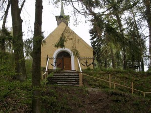 zdjecie Widryny