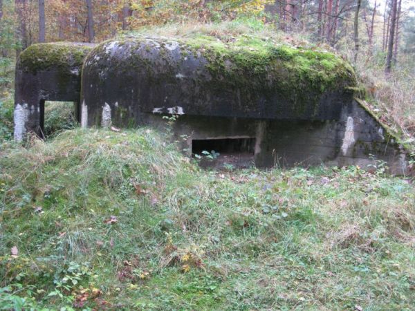Schron nr 14 Armii "Pomorze" z 1939r. Tradytor dwustronny. Położony po drugiej stronie drogi biegnącej w kier. miejscowości Osowiec - niedaleko Schronu nr 10, o