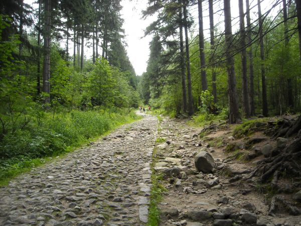 Trasa w na wyciąg w  Karpaczu Górnym