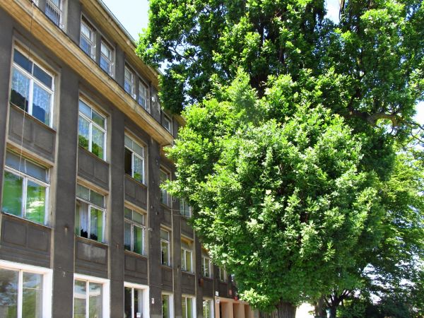 Budynek gimnazjum nr 24 w Bydgoszczy przy ulicy Tadeusza Kościuszki nr 37a