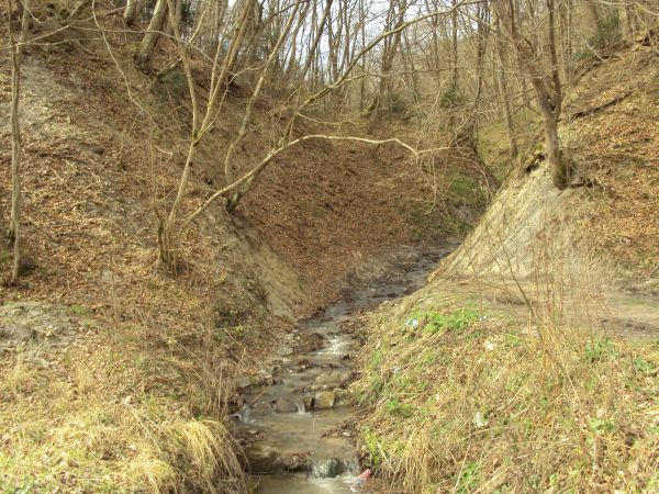 ... szumi z wolna, do Sanu i dalej Wisłą do morza - a i wnet miesiąc maj...