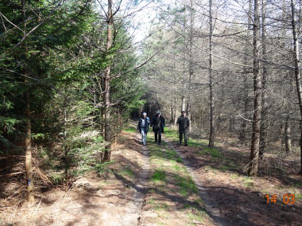 korzystaliśmy z różnorodnych, zazwyczaj nieczynnych dróg i duktów leśnych i jakby dostrzegaliśmy na nich ślady podków wołów /podkowa dla wołu była z charakterys
