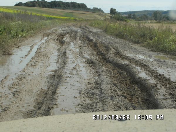 Droga powiatowa Rachanie-Falków