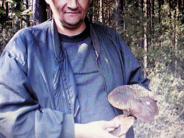 DAREK--TAKIE  GRZYBY  W PIECZYSKACH  LOWICKICH