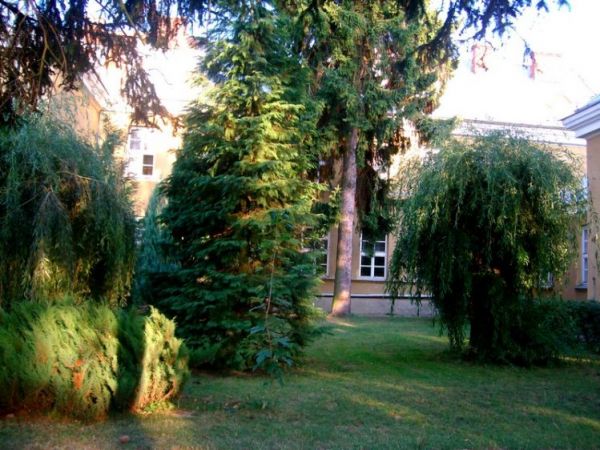 Widok na LO od strony drogi