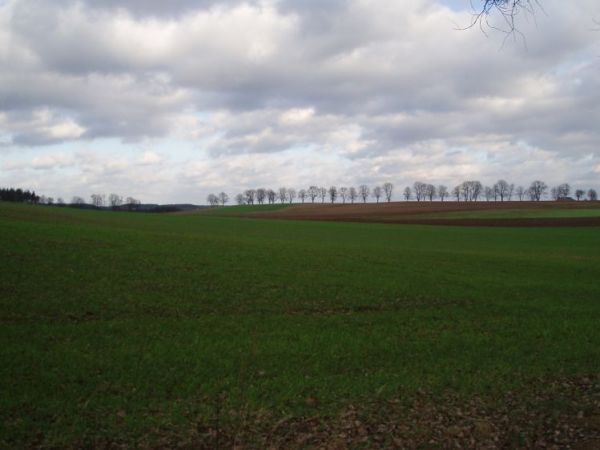 Więcej drogi na Zbiczno.