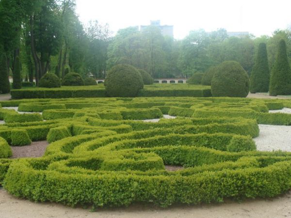Ogród przy Pałacu Branickich.