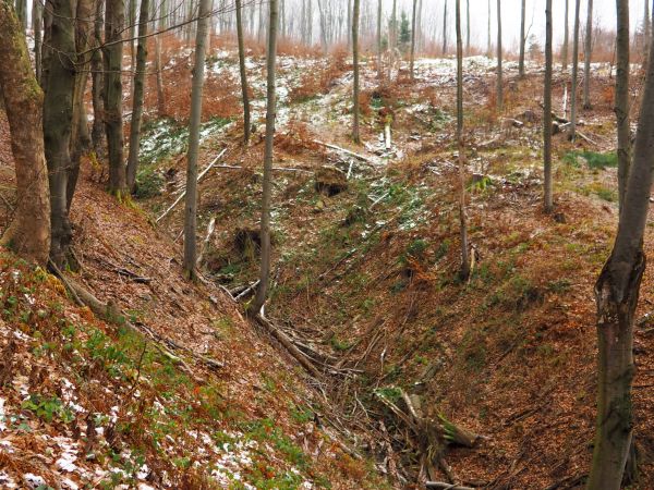 ze zboczy jaru wyciekać i wypływać będą źródełka - mniej lub bardziej obfite - i te cieki wodne utworzą strumyczek a on dalej a raczej niżej stanowił będzie wod