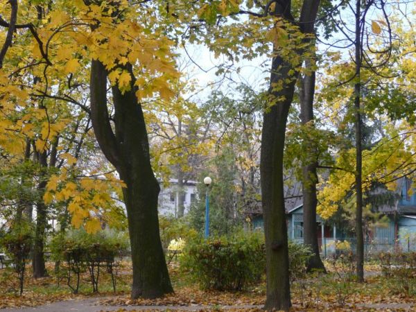 Park