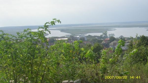 Wsteczna delta Świny