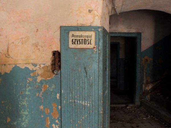 Fragment sieni pałacowej