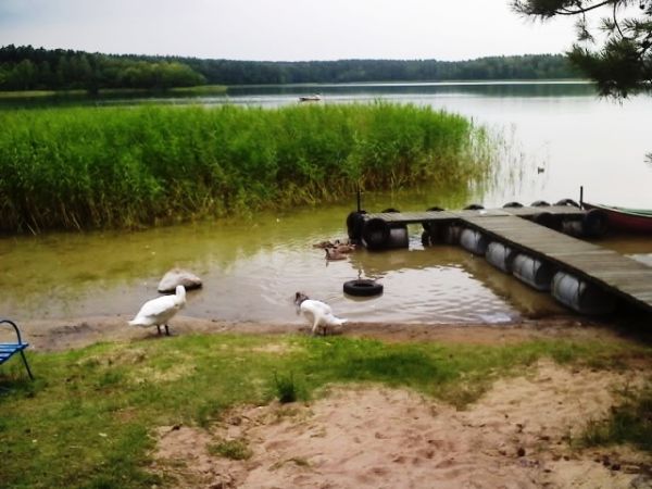 Jez. Maróz,przy O.W.