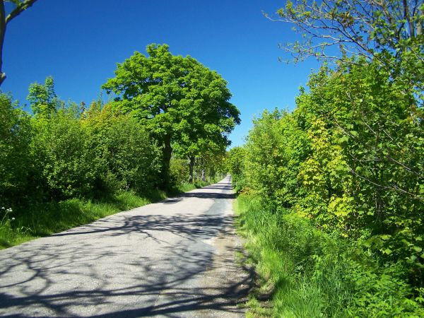 Droga Barzowice-Rusinowo w okolicach Wicie