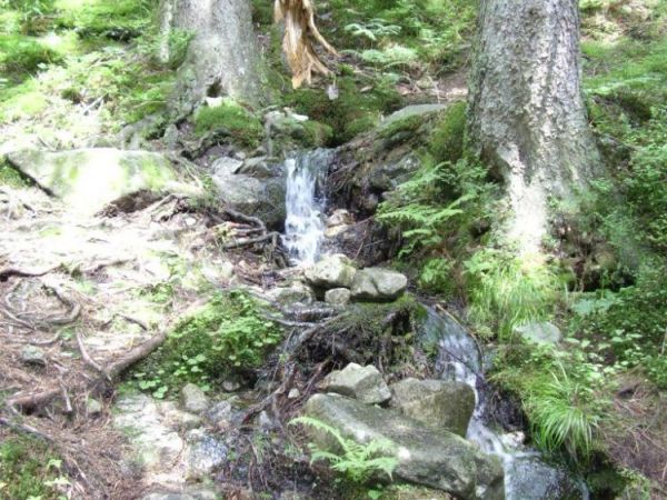 zdjecie Zakopane