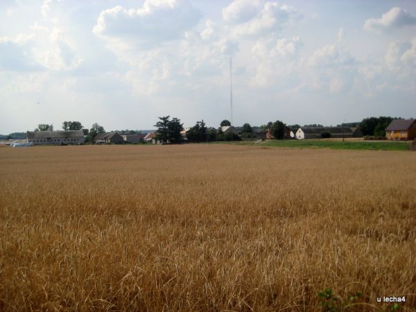 zdjecie Kołaki-Strumienie