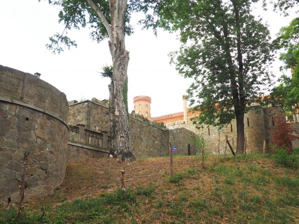 bliskie otoczenie pałacowe - po prawej od frontonu, niegdyś wyjątkowo bogato reprezentacyjnego.